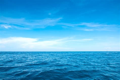 The ocean blue - Most of the ocean is blue in color, but in some places the ocean is blue-green, green, or even yellow to brown. Blue ocean color is a result of several factors. First, water preferentially absorbs red light, which means that blue light remains and is reflected back out of the water. 